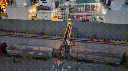 活禽海运-活？？？？？？梢匀肟诼